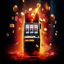 bingoplus